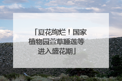 夏花绚烂！国家植物园萱草睡莲等进入盛花期
